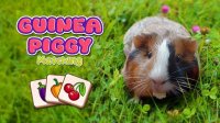 Guinea Piggy Match Online Puzzle Game