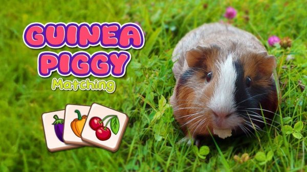 Guinea Pig Tile Match
