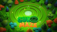 Gyro Maze 3D: Puzzle Adventure Online Game
