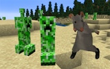 Cute Critter Spotting Challenge